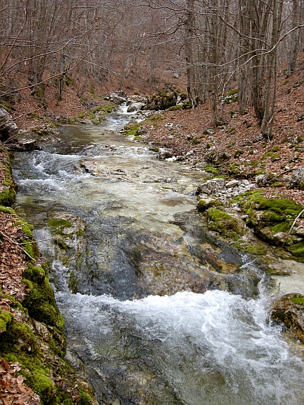 Escursione Parco Nazionale d''Abruzzo